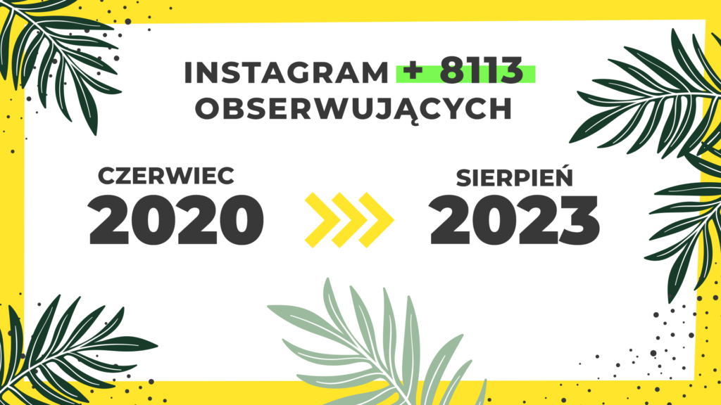 Liczba obserwujących - instagram Pracuj.pl