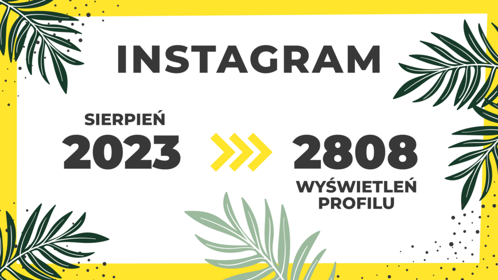 Liczba wyświetleń - instagram Pracuj.pl